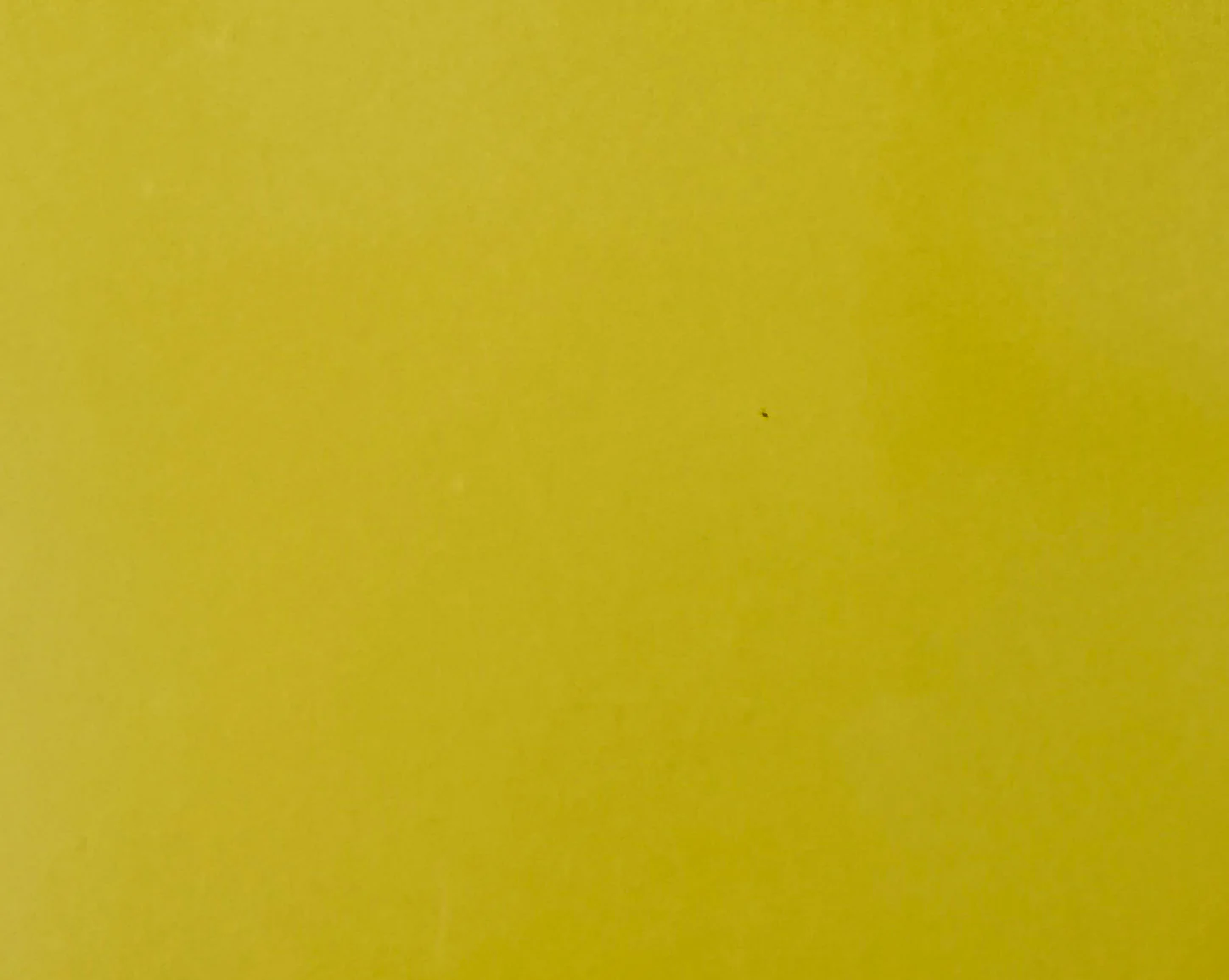 Mr Beam Acryl zum Lasercutten, verschiedene Farben, 3mm, A3 - Image 15